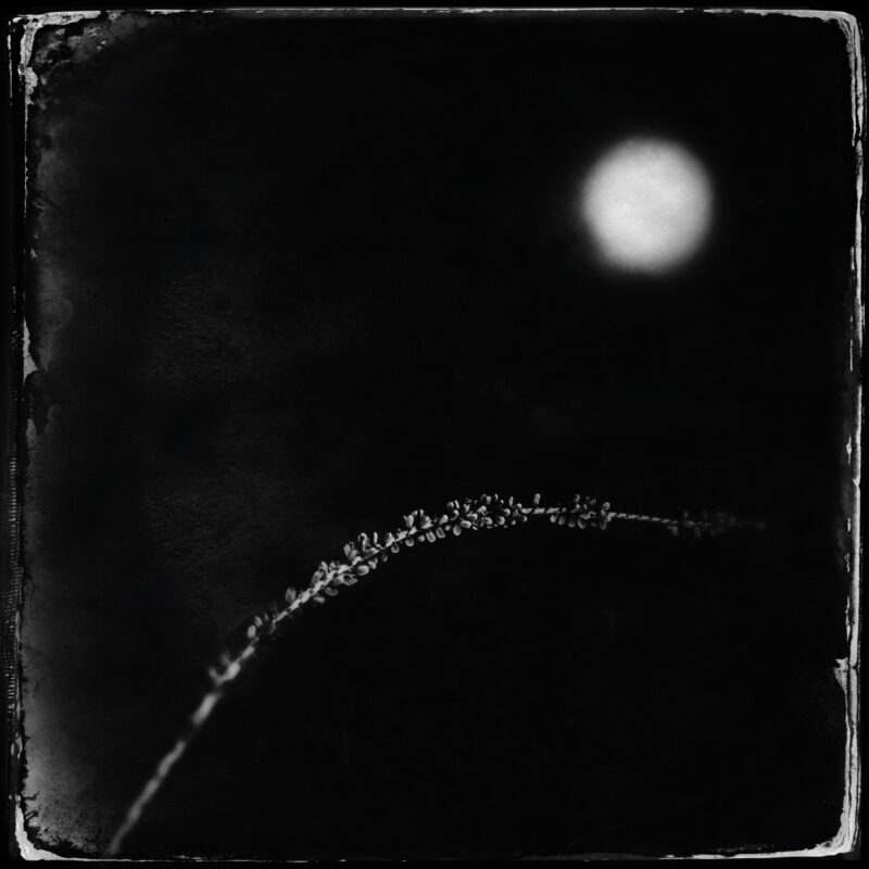 789C2446-56C9-4071-9531-912BA5DD59A6